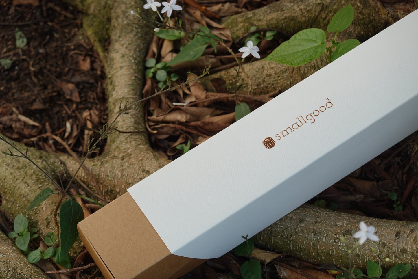 Moonelé Gift Box 2025